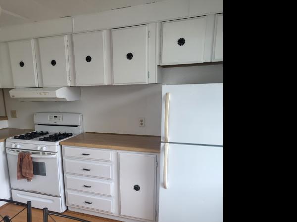 1978 Skyline none Mobile Home