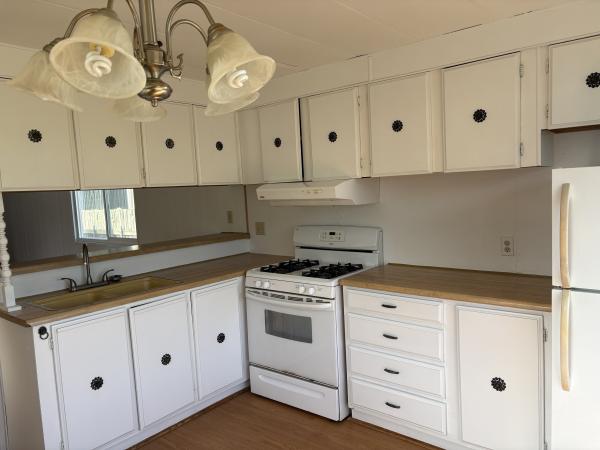 1978 Skyline none Mobile Home