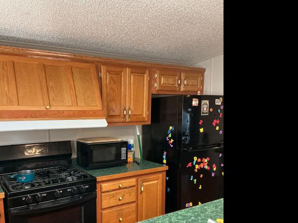 1998 Friendship Mobile Home