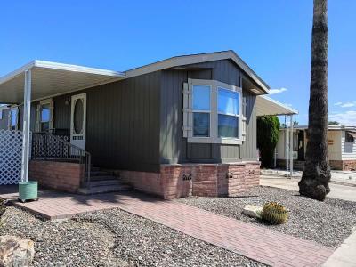 Mobile Home at 3411 S. Camino Seco # 116 Tucson, AZ 85730