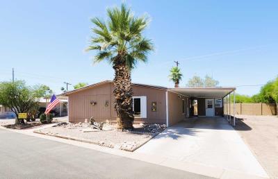 Photo 2 of 30 of home located at 201 South Greenfield Road, Lot 19 Mesa, AZ 85206