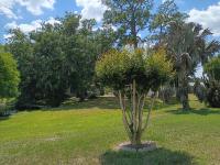 2000 Homes of Merit Mobile Home