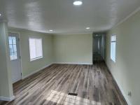 1980 Governor Mobile Home