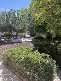 1973 Santa Anita Manufactured Home