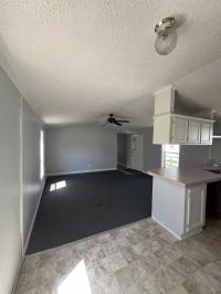 1994 Skyline Mobile Home