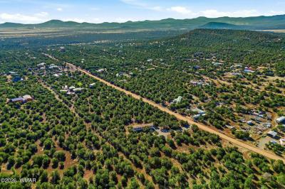 Photo 3 of 24 of home located at 23 N3133 Vernon, AZ 85940