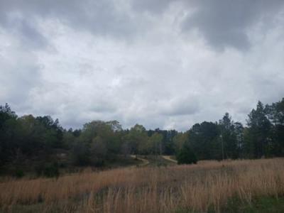 Photo 5 of 6 of home located at 499 Gulf Camp Rd Lumberton, MS 39455