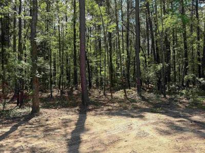 Photo 3 of 23 of home located at 115 Ash Hill Drive Eutawville, SC 29048