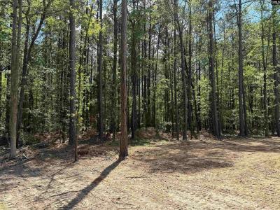 Photo 4 of 23 of home located at 115 Ash Hill Drive Eutawville, SC 29048