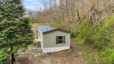 Mobile Home at 183 Pine Branch Rd Grays Knob, KY 40829