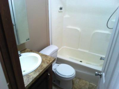 Mobile Home at 145 Bouldin Ln Scottsboro, AL 35768