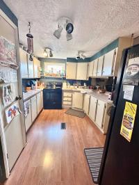 1982 Mansion Mobile Home