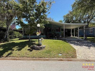 Mobile Home at 7 Hudson Falls Dr Ormond Beach, FL 32174