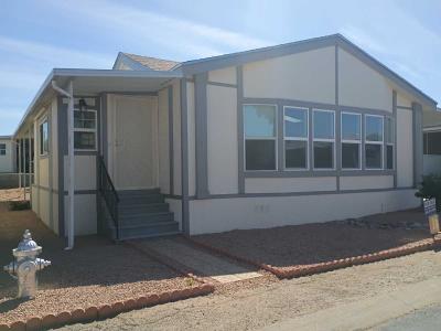 Mobile Home at 8401 South Kolb Road #248 Tucson, AZ 85756
