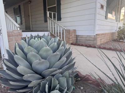 Photo 2 of 22 of home located at 3411 S. Camino Seco #320 Tucson, AZ 85730