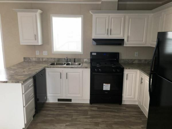 2019 Skyline Skyline - Eagle Mobile Home