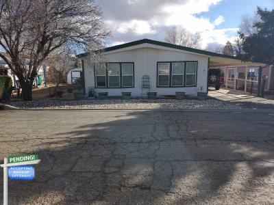 Mobile Home at 16 Gamay Ln Reno, NV 89512