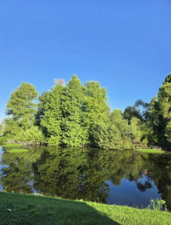 1995 Jacobsen Mobile Home