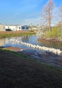 1995 Jacobsen Mobile Home