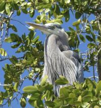 1995 Jacobsen Mobile Home