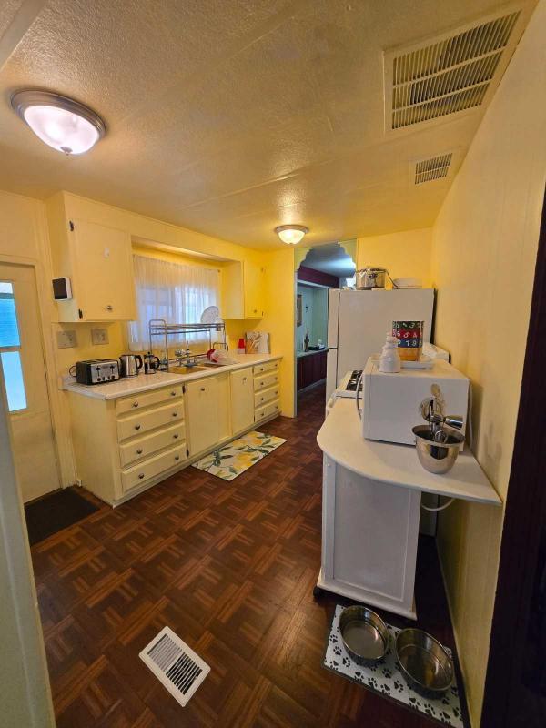 1971 Skyline Mobile Home