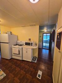 1971 Skyline Mobile Home