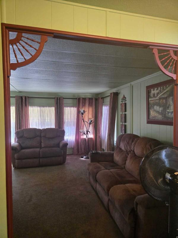 1971 Skyline Mobile Home