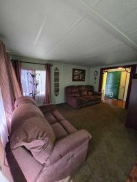 1971 Skyline Mobile Home