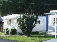 1967 Chateau Single Section Mobile Home