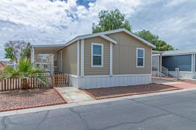 Mobile Home at 1111 N. Lamb Blvd. Las Vegas, NV 89110