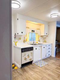 Skyline Mobile Home