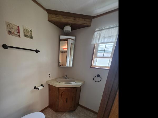1986 SKYLINE ab Mobile Home