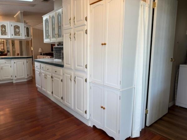 1999 Skyline Skyl Mobile Home