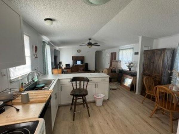 1999 MFHM  Home
