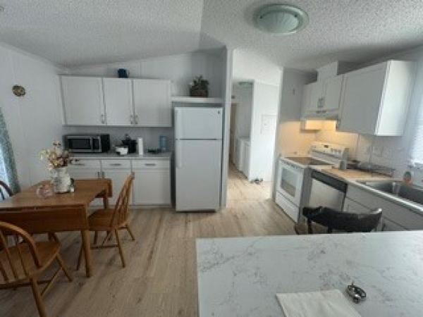 1999 MFHM  Home