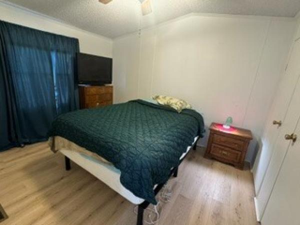 1999 MFHM  Home