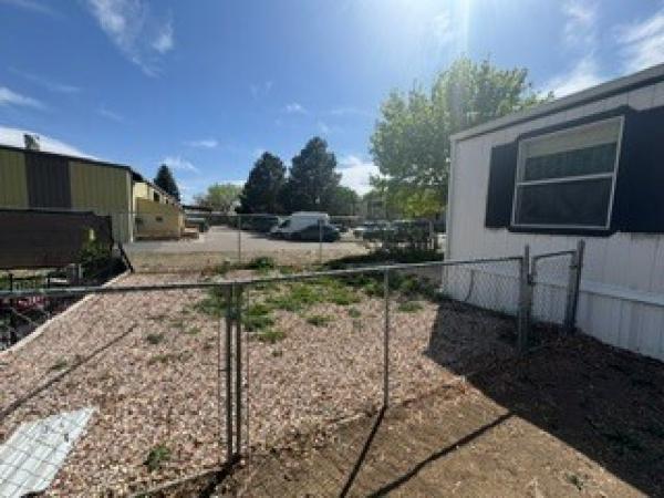 1999 MFHM  Home