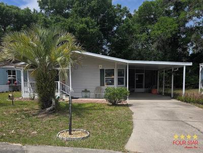 Mobile Home at 508 Sunshine Circle Lady Lake, FL 32159