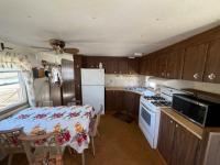 1972 Mobile Home