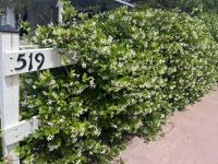 1995 Palm Harbor Manufactured Home