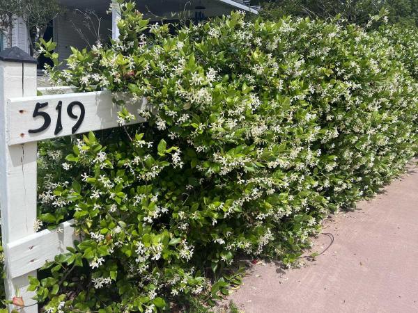 1995 Palm Harbor Manufactured Home