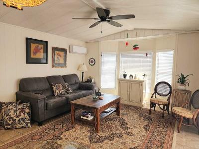 Photo 4 of 20 of home located at 1804 W Tepee Street, Lot 44 Apache Junction, AZ 85120