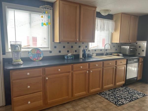 1976 Homette Mobile Home