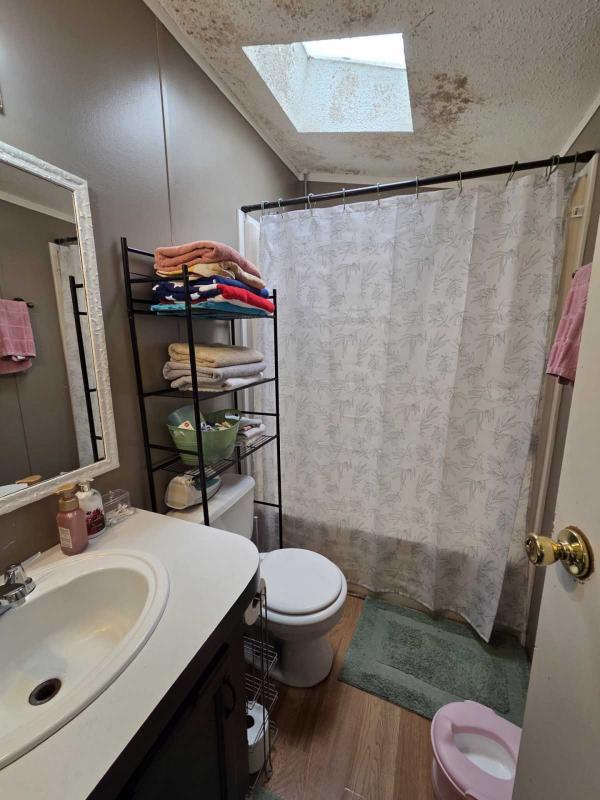 1997 Skyline Manufactured Home