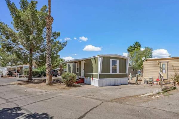 1986 Skyline Mobile Home For Sale