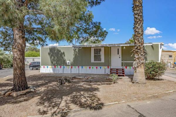 1986 Skyline Manufactured Home