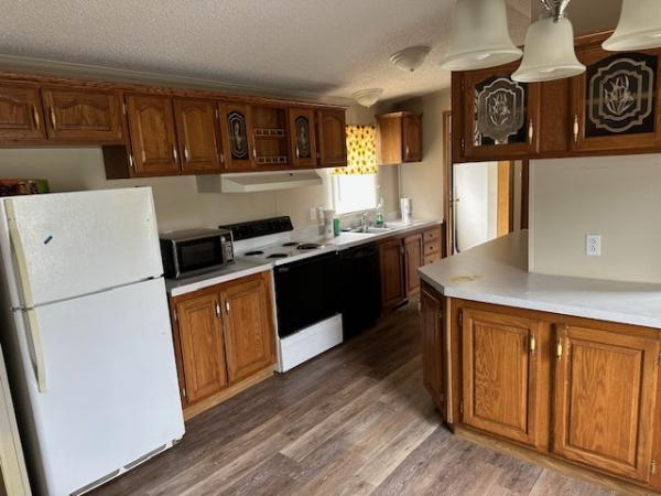 1994 Skyline Manufactured Home