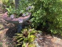 2001 Manufactured Home