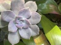 2001 Manufactured Home