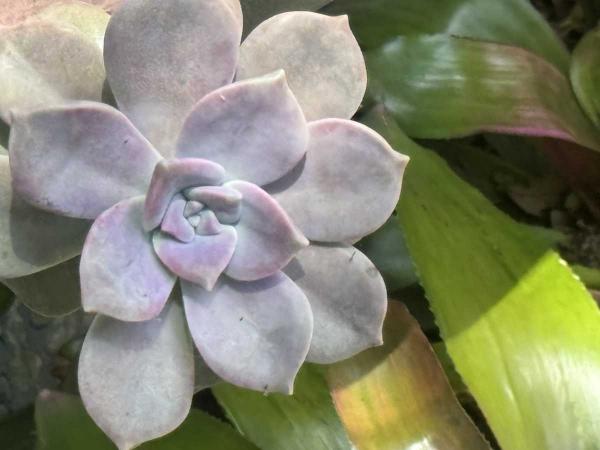 2001 Manufactured Home